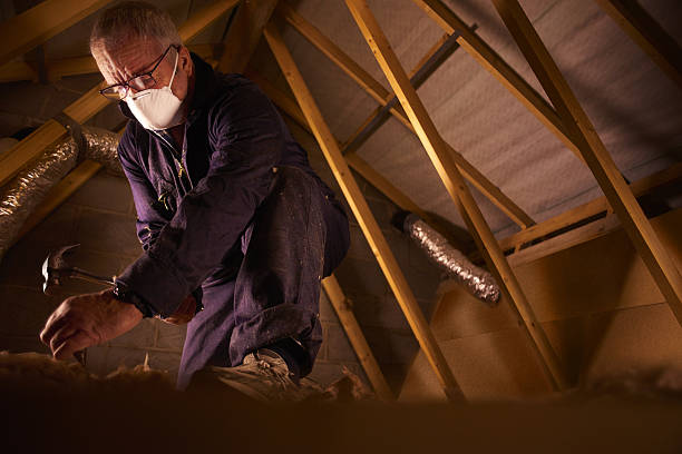 Best Eco-Friendly Insulation in East Peoria, IL